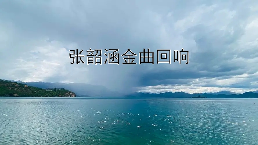 张韶涵金曲回响