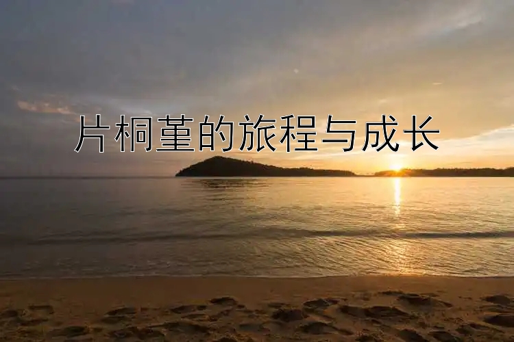 片桐堇的旅程与成长