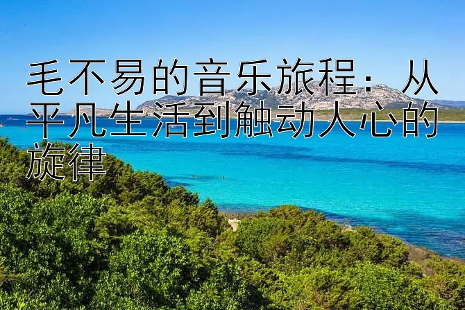 毛不易的音乐旅程：从平凡生活到触动人心的旋律