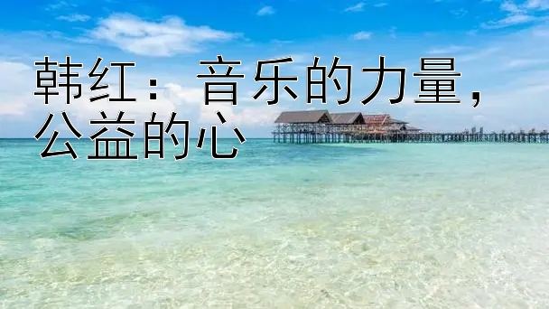 韩红：音乐的力量，公益的心