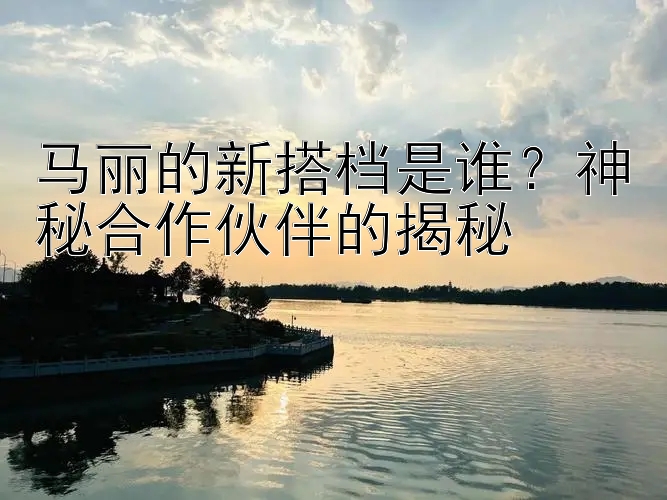 马丽的新搭档是谁？神秘合作伙伴的揭秘