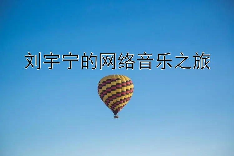 刘宇宁的网络音乐之旅