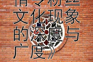 《探析陈情令粉丝文化现象的深度与广度》