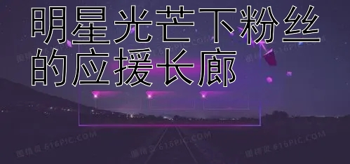 明星光芒下粉丝的应援长廊