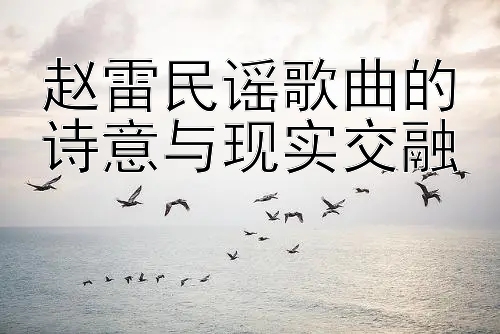 赵雷民谣歌曲的诗意与现实交融