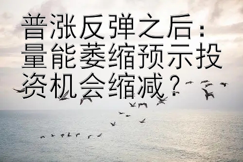 普涨反弹之后：量能萎缩预示投资机会缩减？