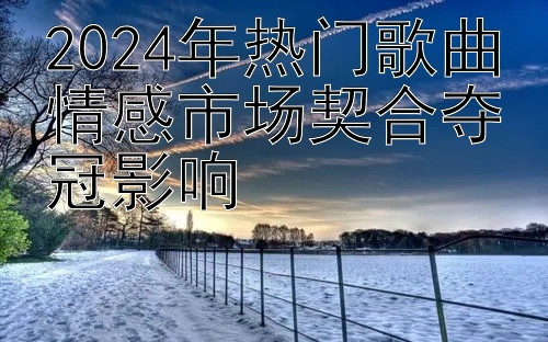 2024年热门歌曲情感市场契合夺冠影响