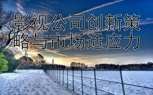 影视公司创新策略与市场适应力