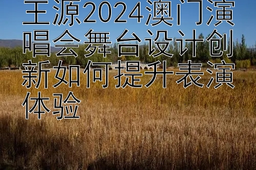 王源2024澳门演唱会舞台设计创新如何提升表演体验