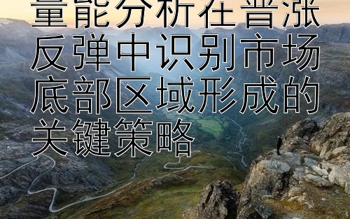 量能分析在普涨反弹中识别市场底部区域形成的关键策略