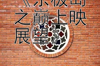 《东极岛之巅上映展望》