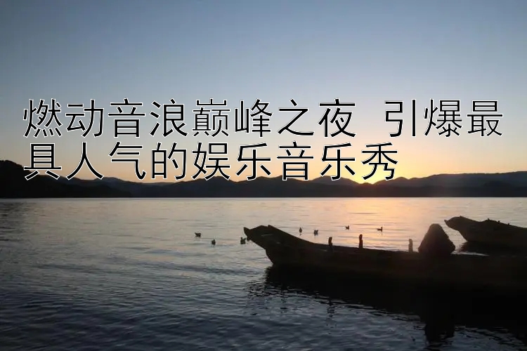 燃动音浪巅峰之夜 引爆最具人气的娱乐音乐秀