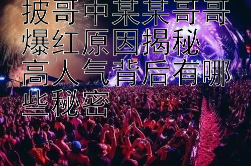 披哥中某某哥哥爆红原因揭秘  
高人气背后有哪些秘密