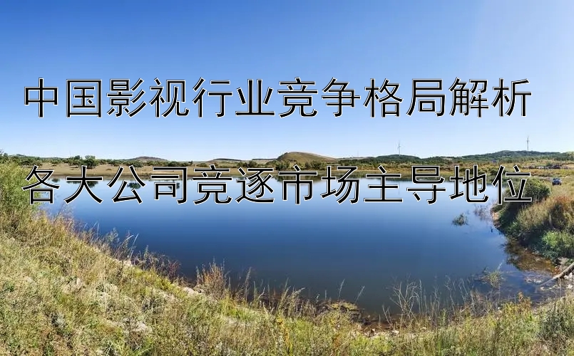 中国影视行业竞争格局解析  
各大公司竞逐市场主导地位