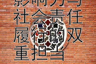 热门艺人影响力与社会责任履行的双重担当