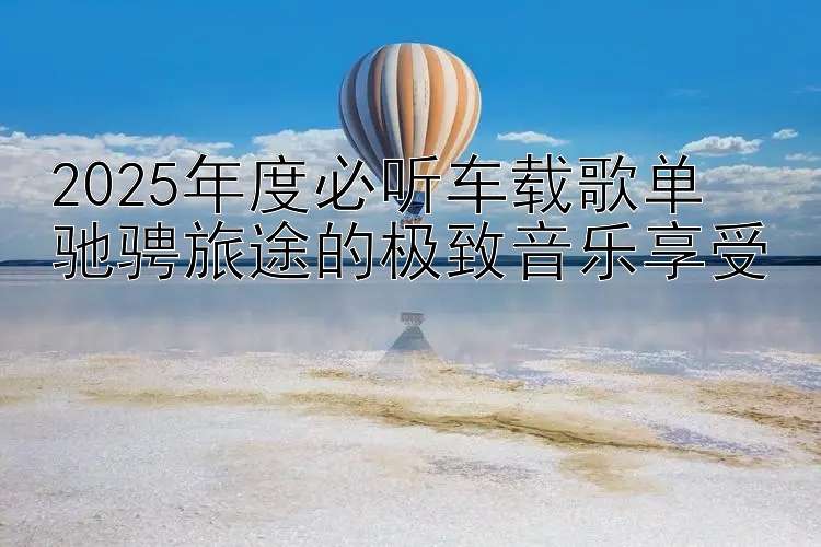 2025年度必听车载歌单  
驰骋旅途的极致音乐享受