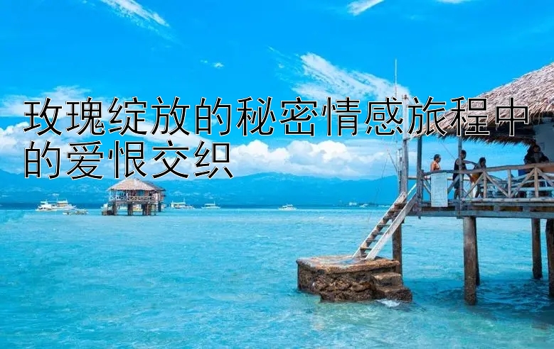 玫瑰绽放的秘密情感旅程中的爱恨交织